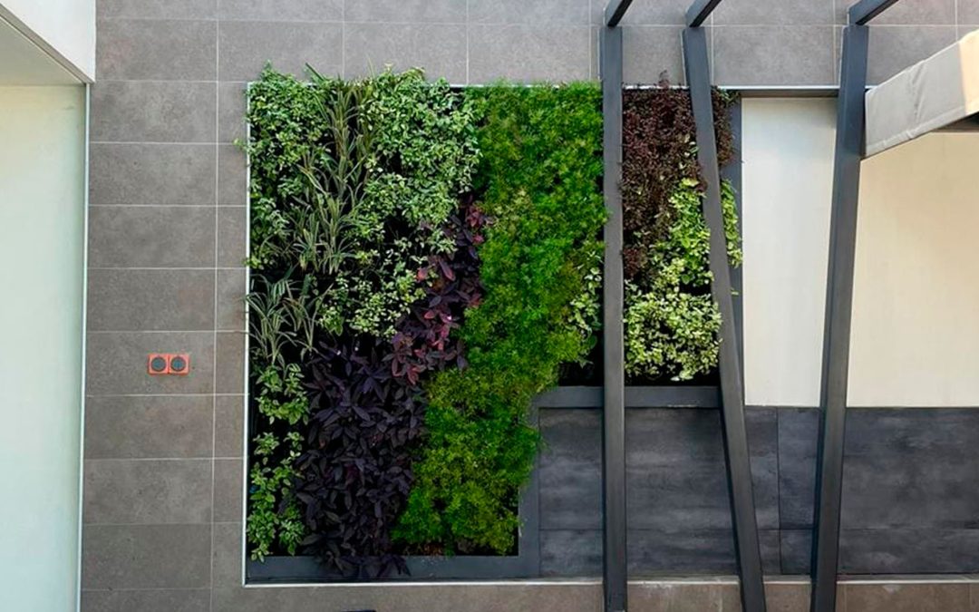 Outdoor/Indoor Living Walls