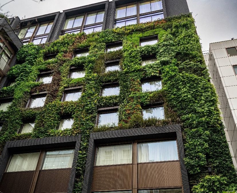 Towards Sustainable Cities: Urban Green Infrastructure as an Ally