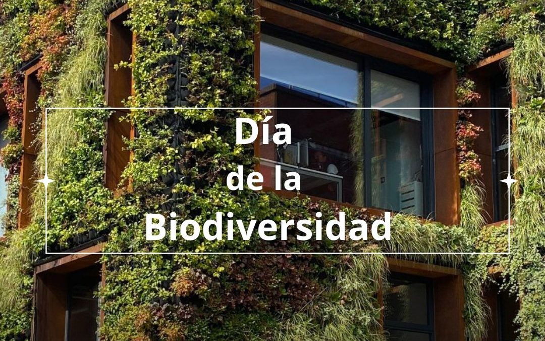 Día de la Biodiversidad: Reflexión sobre la Conexión con la Naturaleza