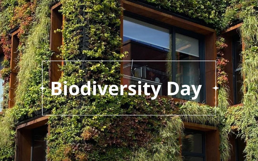 Celebrating World Biodiversity Day: Reflecting on Our Relationship with Nature