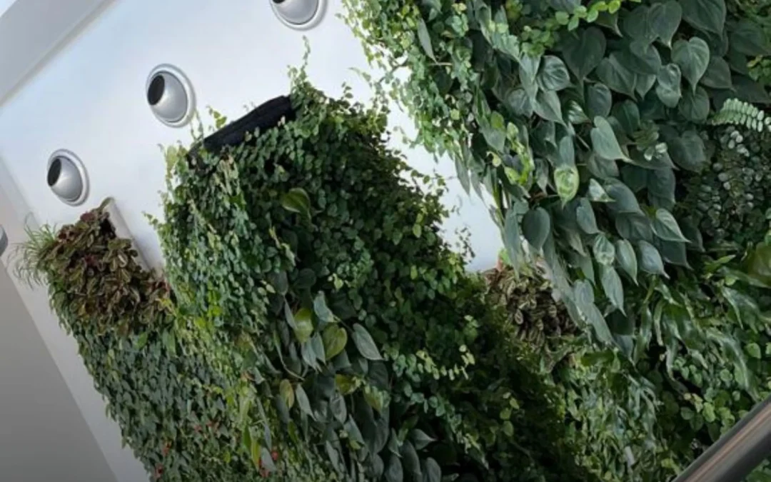 Temperature Control in the Office with Living Walls