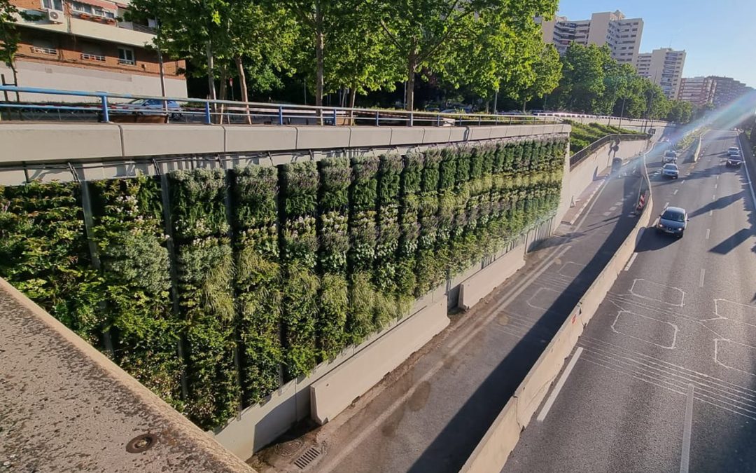 Living Walls M30 (motorway Madrid)