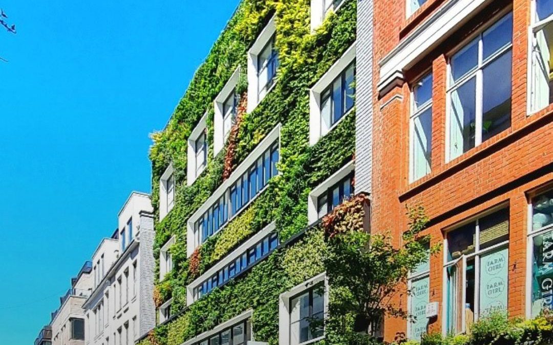 Jardines Verticales:  El futuro De la Sostenibilidad Urbana